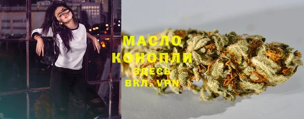спиды Богородицк