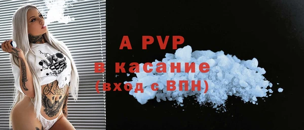 спиды Богородицк