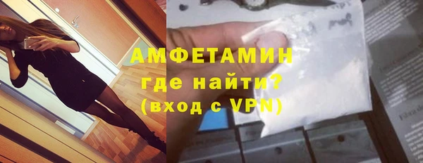 прущие грибы Богданович