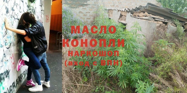 спиды Богородицк
