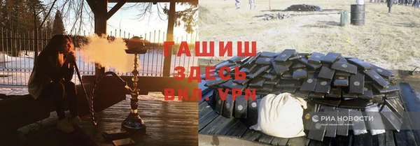 ECSTASY Бородино